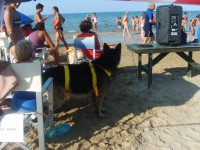 /album/galleria-fotografica/s5000109-jpg/