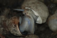 /album/galleria-fotografica/dsc-2473-jpg/