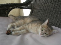 /album/galleria-fotografica/a066-jpg/