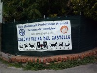 /album/galleria-fotografica/cam00509-jpg/