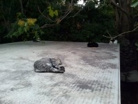 /album/galleria-fotografica/cam00510-jpg/