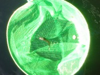 /album/galleria-fotografica/a20140804-165512-jpg/