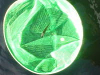 /album/galleria-fotografica/a20140804-165515-jpg/